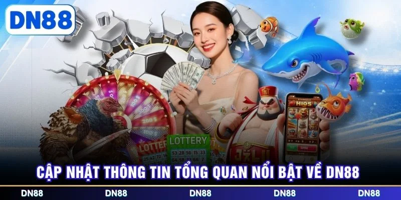 Cập nhật thông tin tổng quan nổi bật về DN88